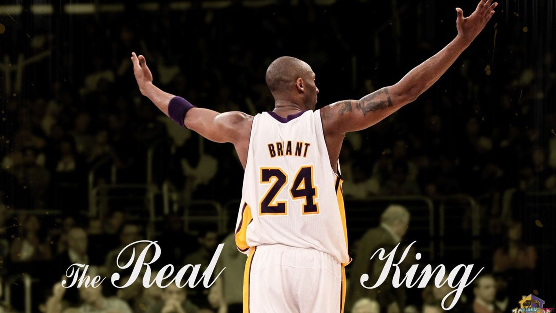 森林穿越夜跑极限赛 禁用耳机强调与大自然对话